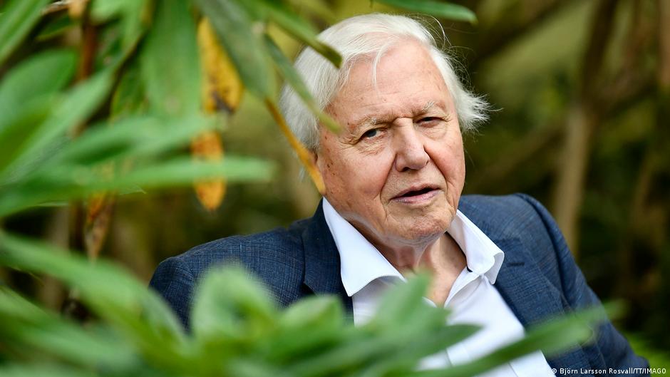 David Attenborough Turns 100 After 70 Years on Screen