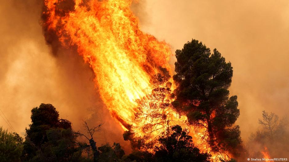Europe Gets Blueprint to Cut Wildfire Damage by 90%