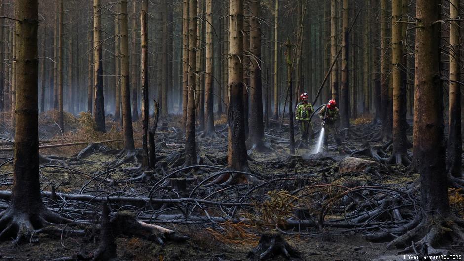 Rain Helps Belgium Contain Its Largest Wildfire in 100 Years