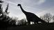 Diplodocus Fossils Found in Spain for First Time Ever - Image 2