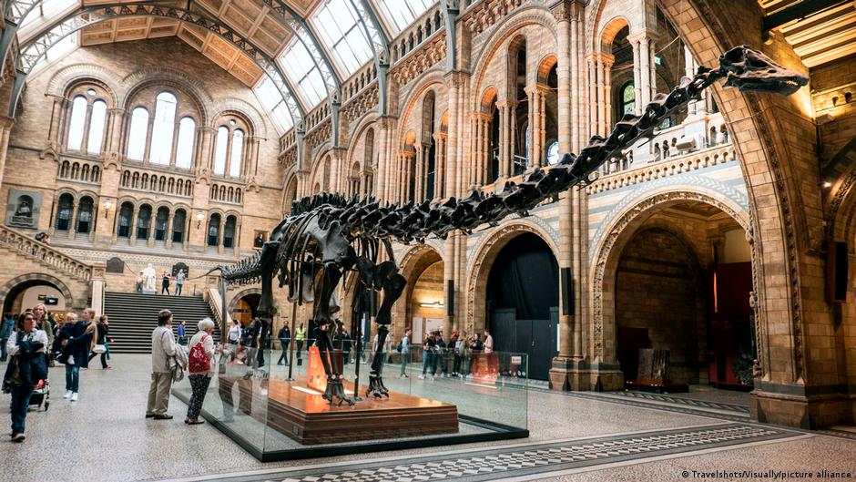 Diplodocus Fossils Found in Spain for First Time Ever