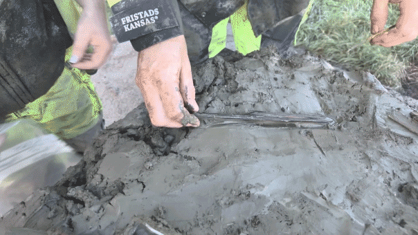 5,000-Year-Old Dog Buried with Dagger Found in Sweden