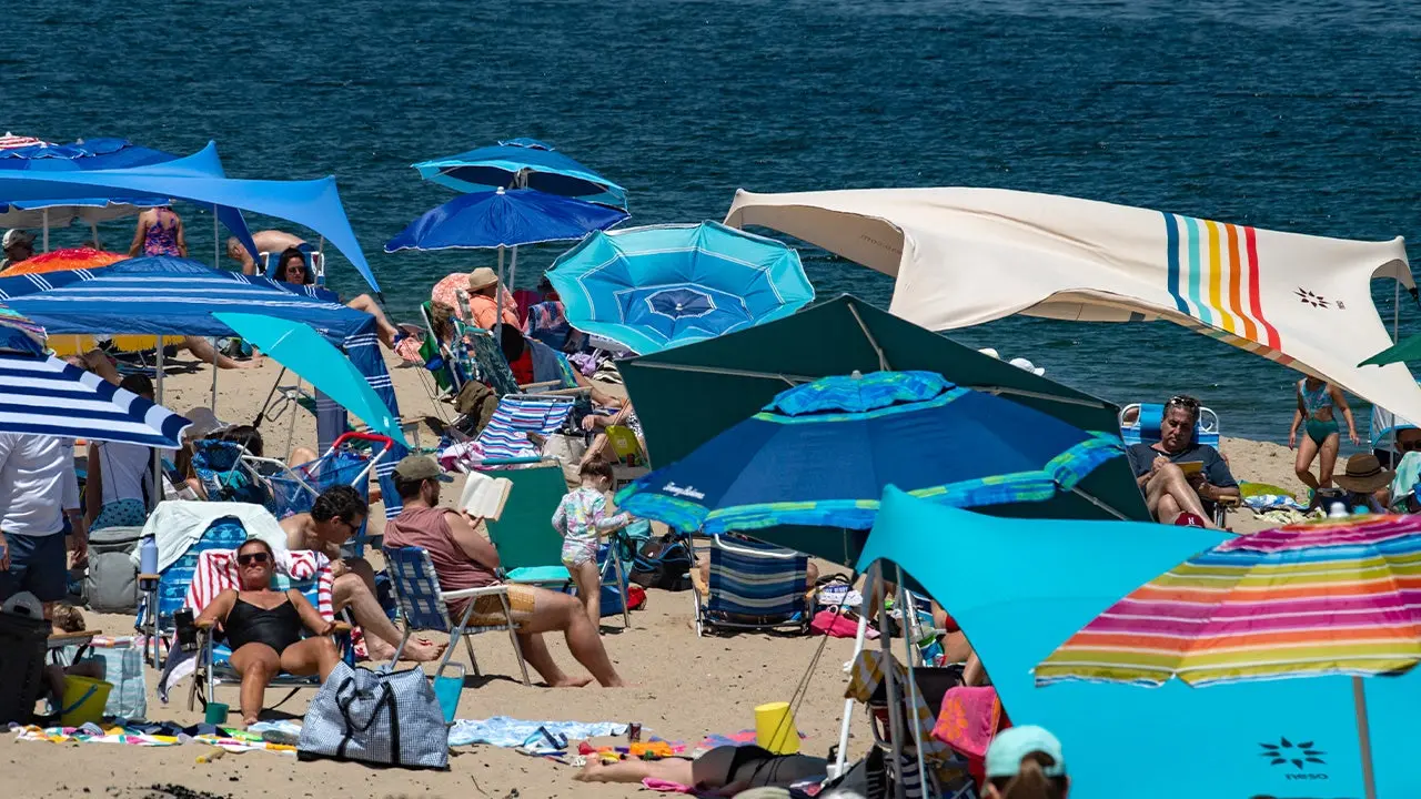 Cape Cod Turns Great White Sharks Into $2.8B Tourism Boom