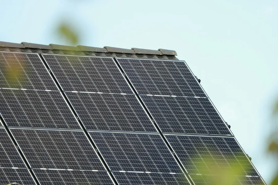Analytics Firm Cuts Emissions 24% in Just One Year - Image 3