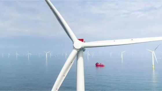 Vietnam Launches Surveys for $6B Offshore Wind Projects
