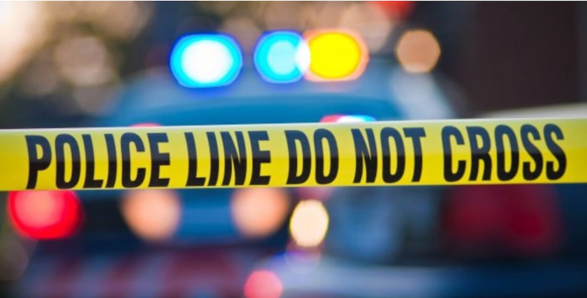 Bystander Stops Assault on 84-Year-Old in Manhattan Park