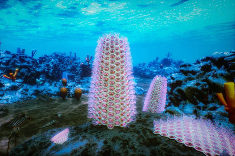 520-Million-Year-Old Fossil Solves Evolution Mystery