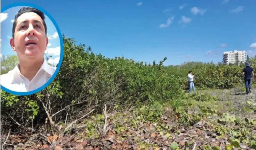 Mexico Orders 3-Year Coastal Dune Restoration in Sisal