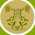 Camera Traps Catch Ocelots Napping in Costa Rica Trees - Image 2