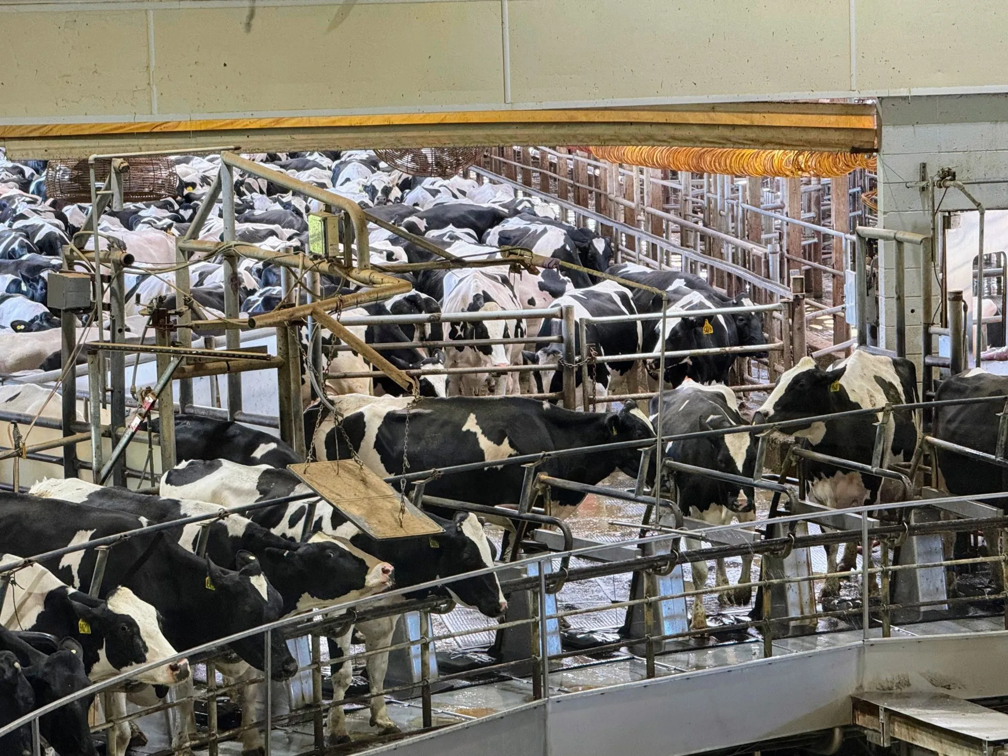 Danone Nearly Hits 2030 Methane Goal Five Years Early