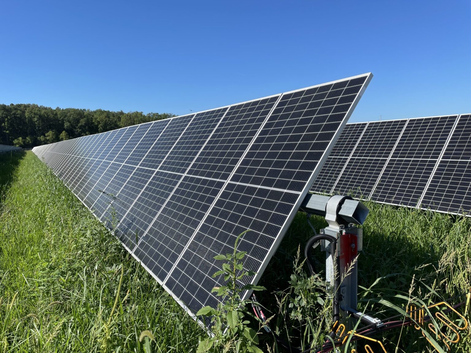 Virginia Senate Passes Bill to Speed Up Solar Projects - Image 2