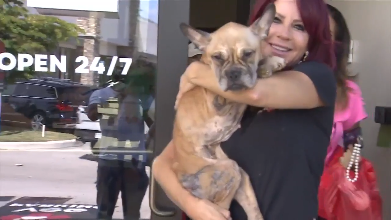Abandoned Puppy Miracle Walks Out of Hospital After Recovery