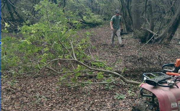 66 Volunteers Clear Trails on Arkansas Public Lands - Image 2