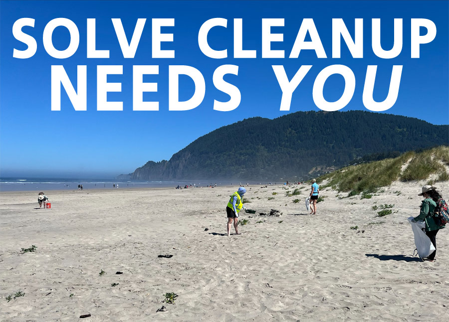 Volunteers collecting litter along Oregon coastline during community beach cleanup event