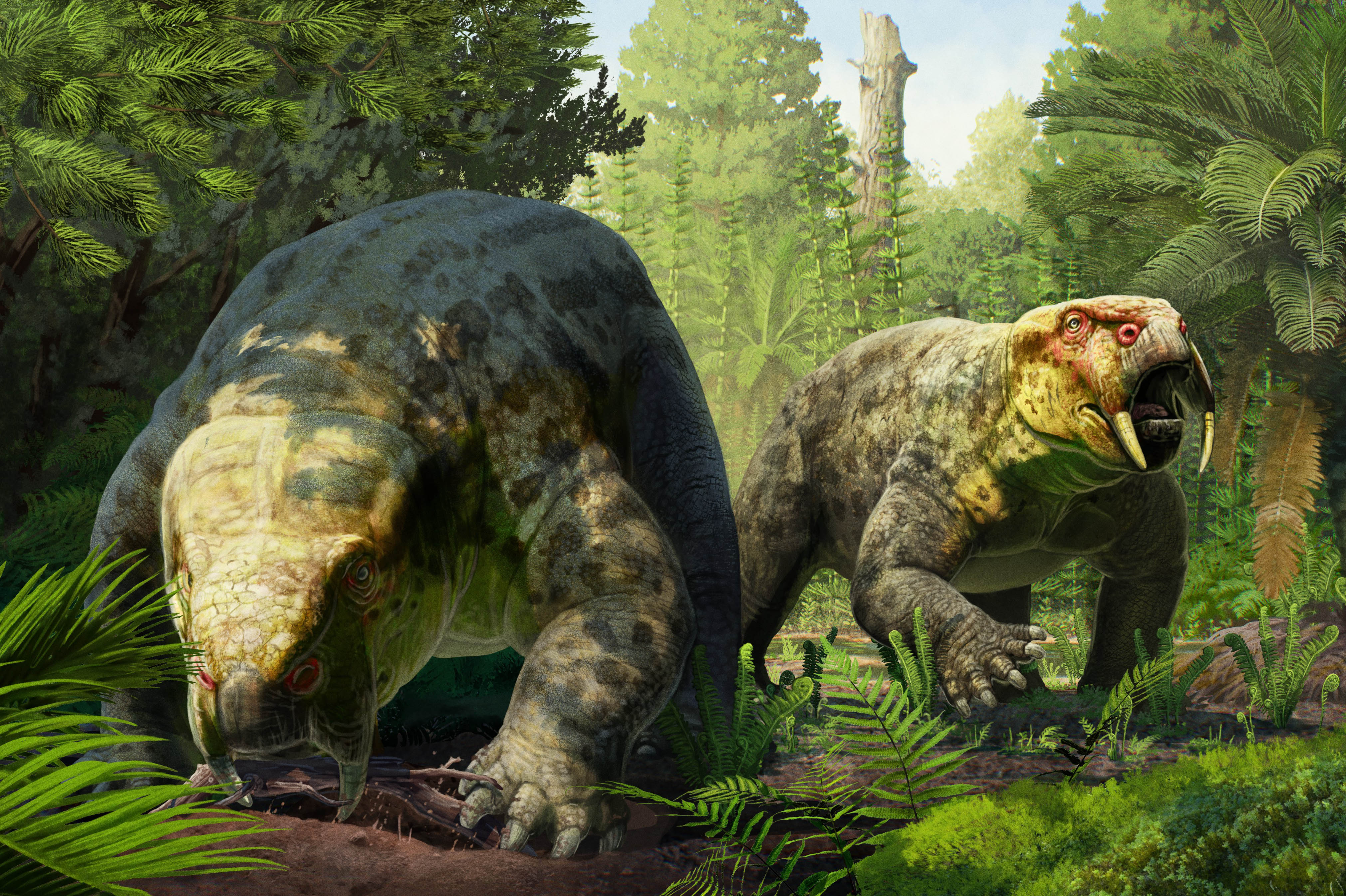 240-Million-Year-Old Fossil Reshapes Dinosaur Timeline