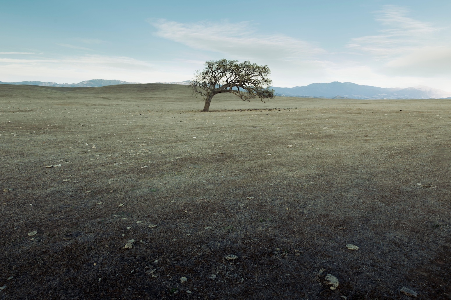 Scientists Unite on 10 Climate Insights That Guide Solutions