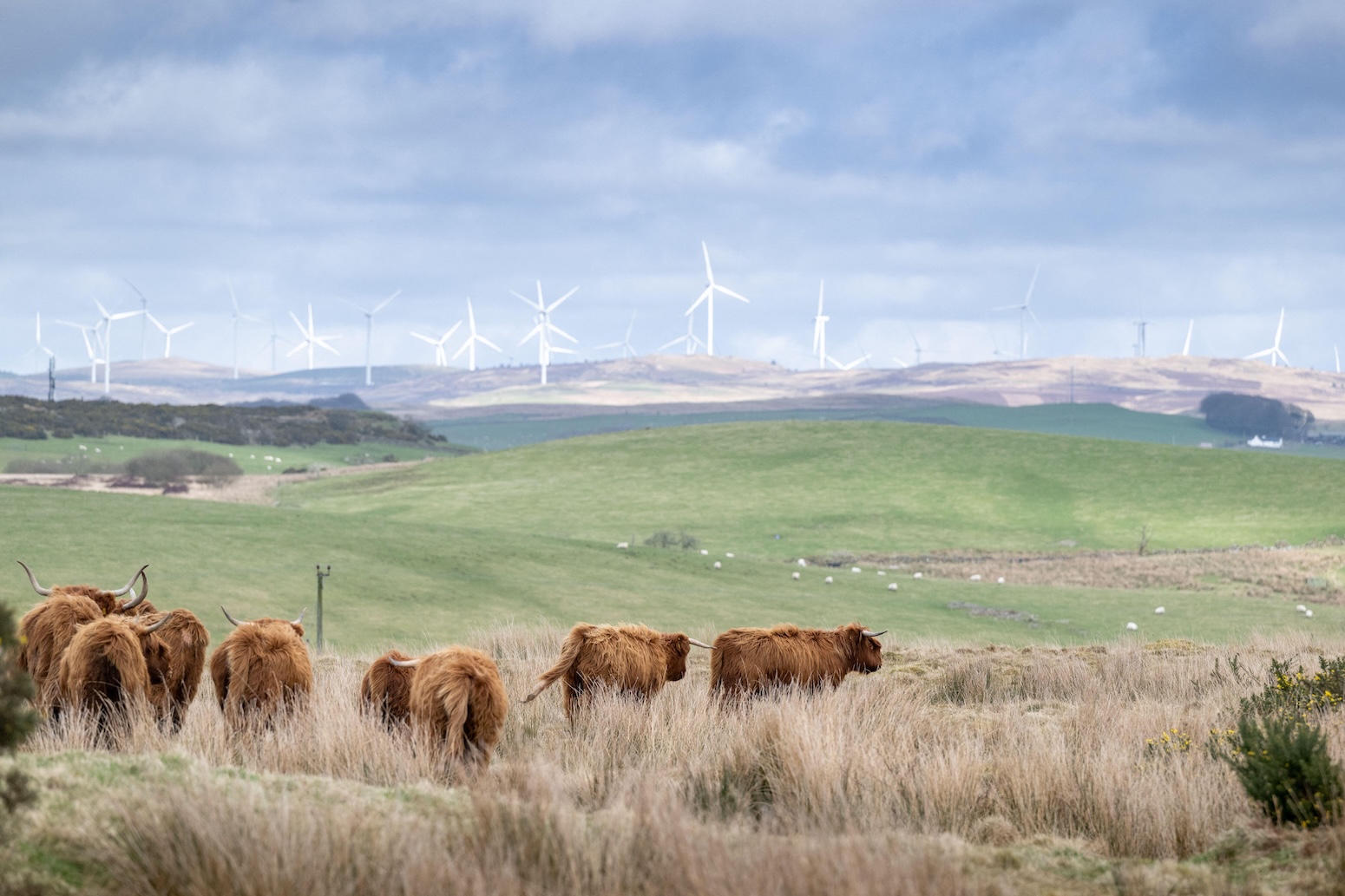UK's Climate Plan to Deliver £865bn in Economic Benefits