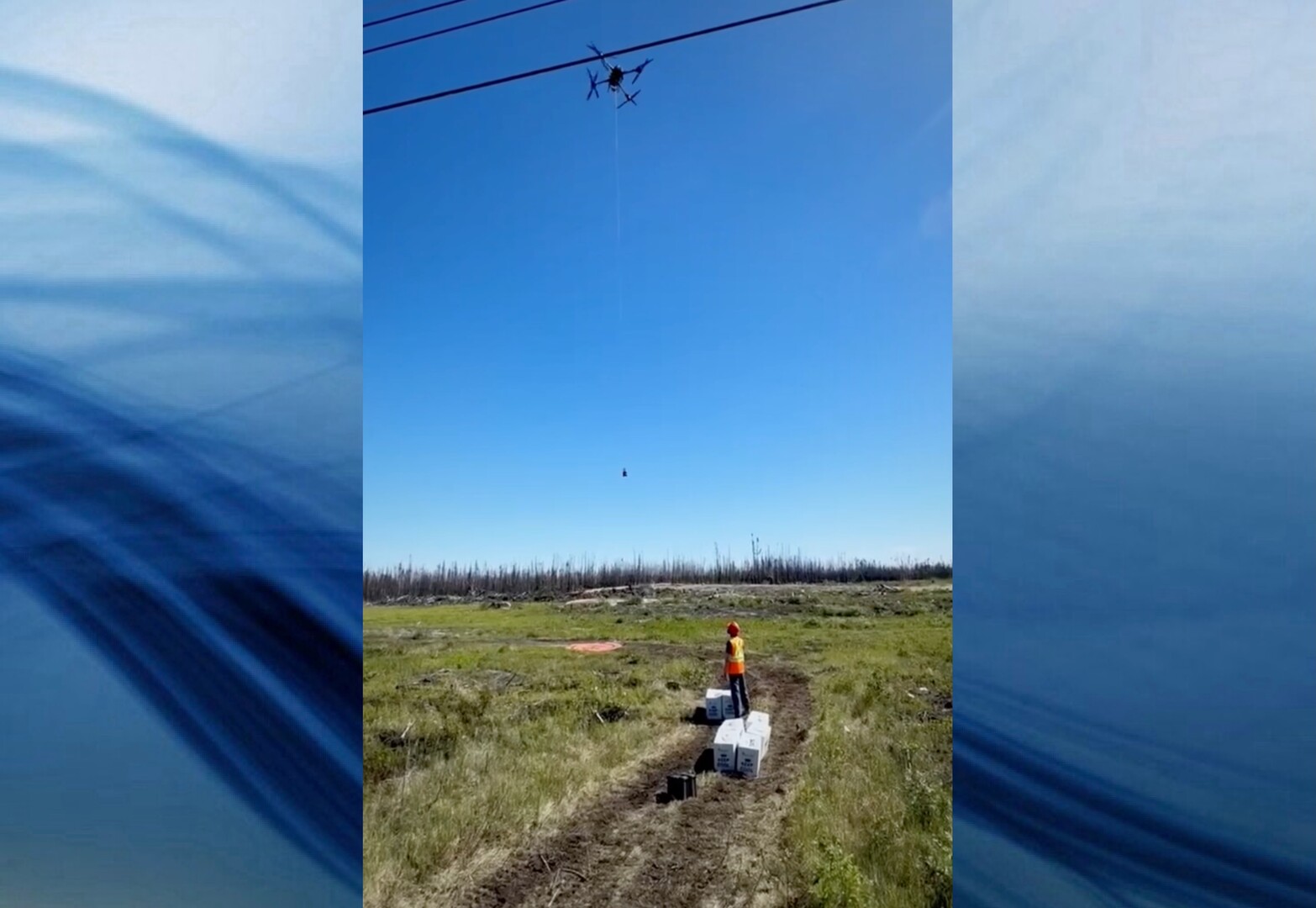 Drone Delivers 1M Tree Seedlings Across Western Canada