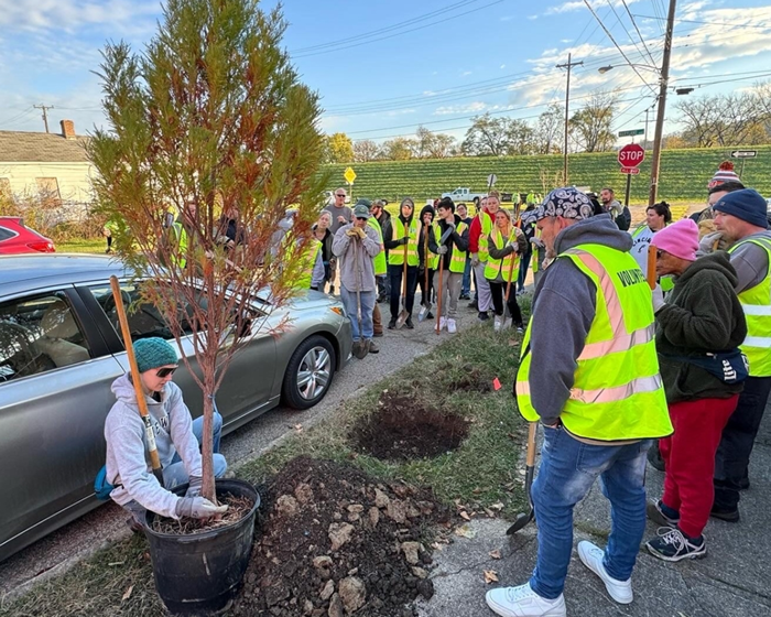 Covington Invites Volunteers to Care for Young Trees