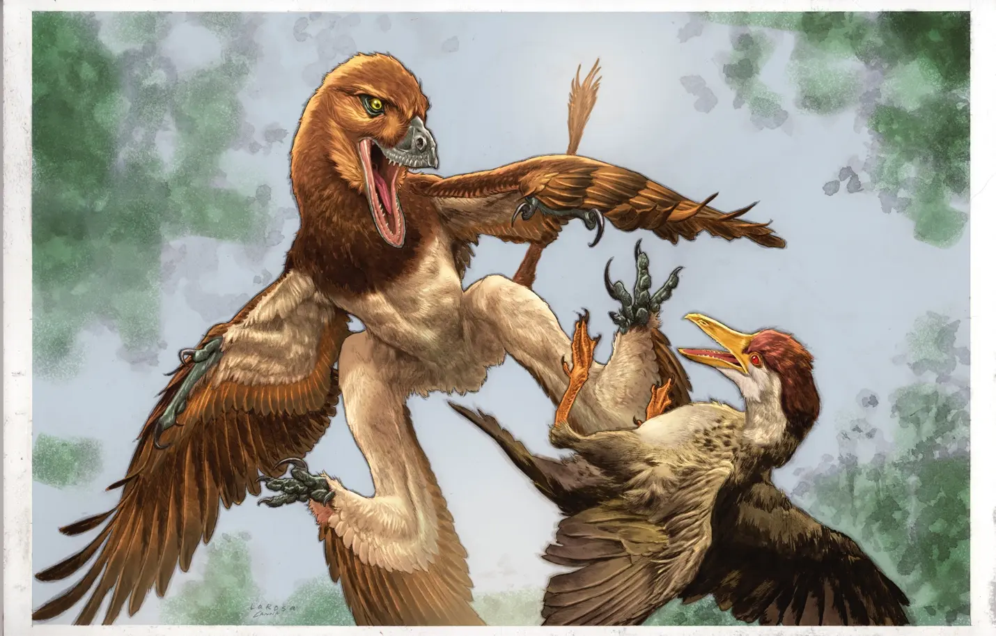 Four-Winged Dinosaur Discovered in China's Fossil Bird Graveyard