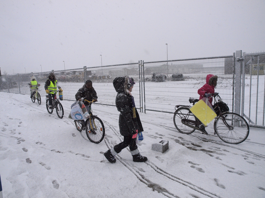 Dutch Officials Demand Asylum Shelter Fixes in 6 Months