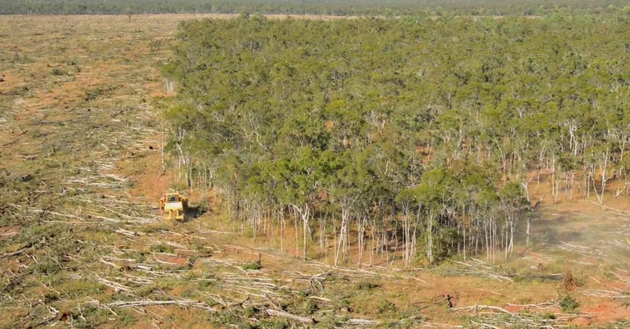 NSW Invests $221M in Ecosystem Protection Program - Image 2