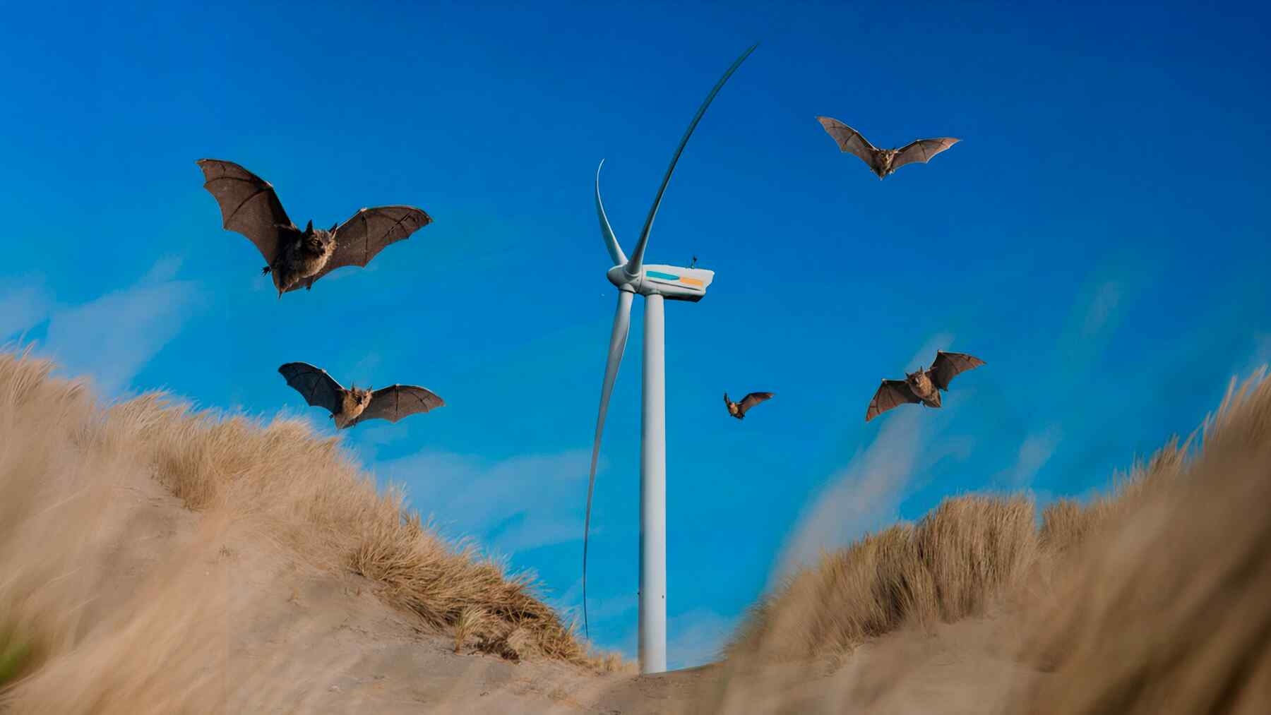 Wind Farms Cut Bat Deaths by 93% With Simple Fix