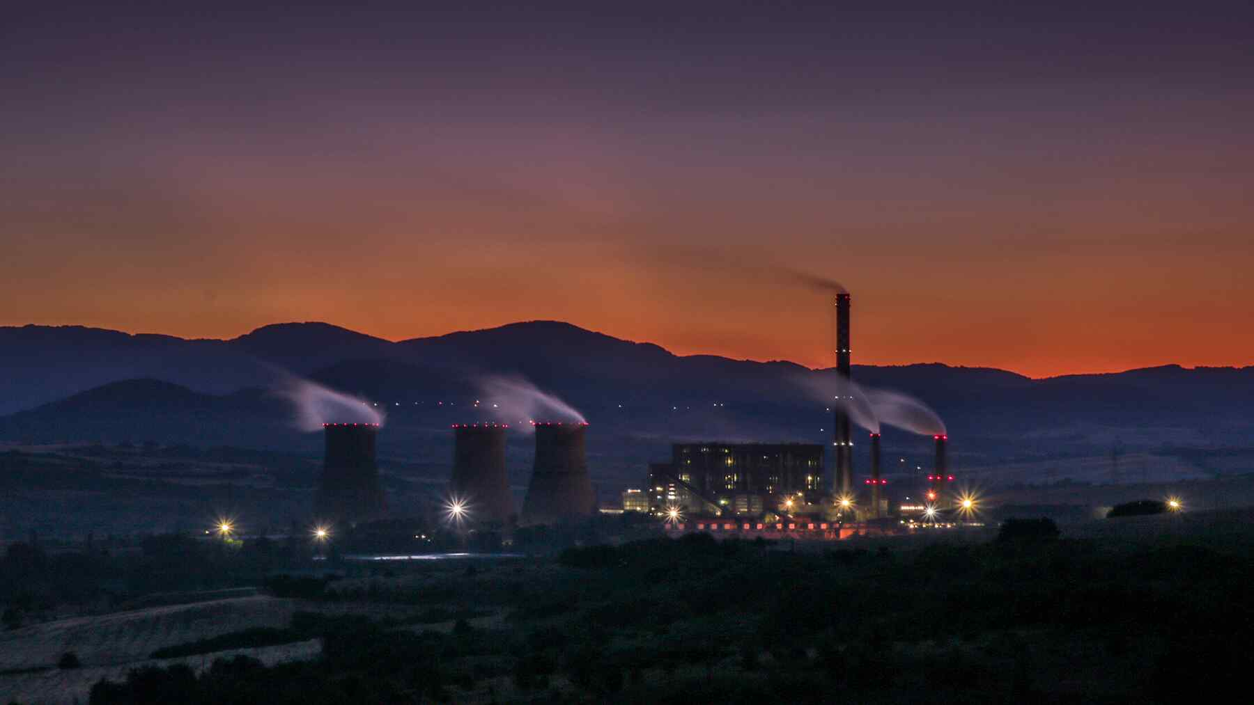 Nuclear Plant Workers Unearth 40-Million-Year-Old Whale