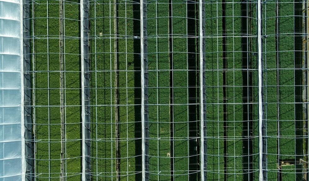 Apple Suppliers Cut 26M Tons of Emissions With Clean Energy - Image 3