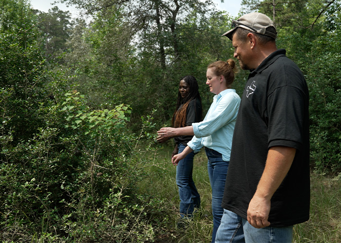 Texas Woman Brings Back Native Pine and Wild Turkeys