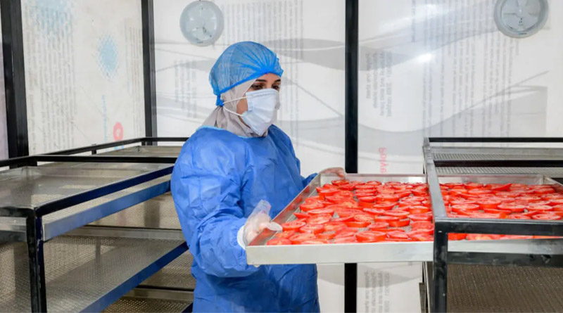 Egyptian Women Turn Food Waste Into 38% Water Savings