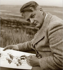 Roger Tory Peterson's 1934 Bird Guide Changed Conservation