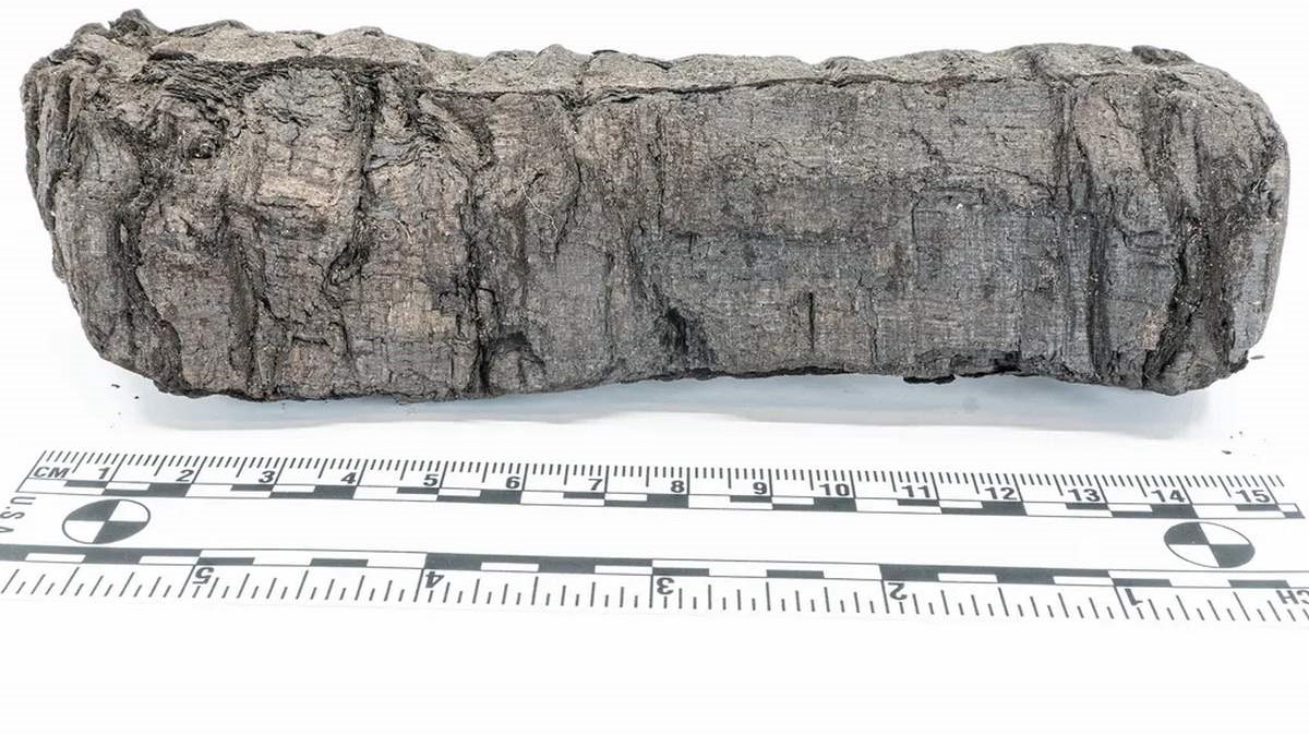 Ancient carbonized scroll from Herculaneum with AI-detected text revealing Greek philosophical writings