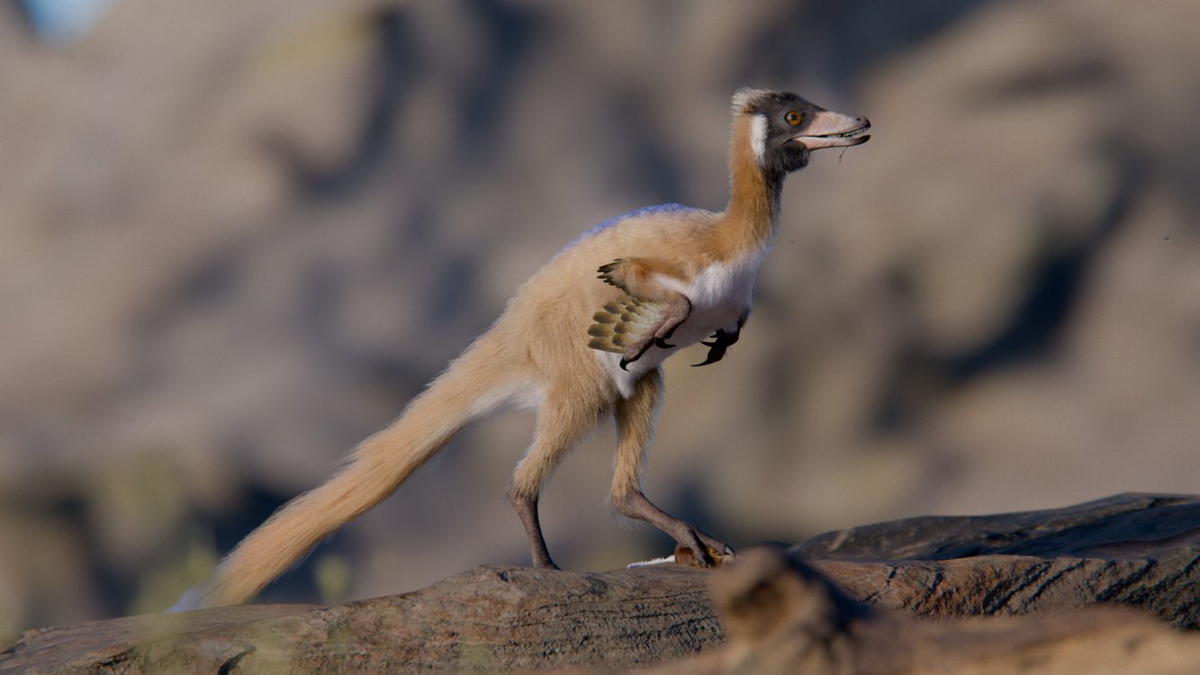 Artist reconstruction of tiny Alnashetri dinosaur with long arms and feathered body in prehistoric Patagonia