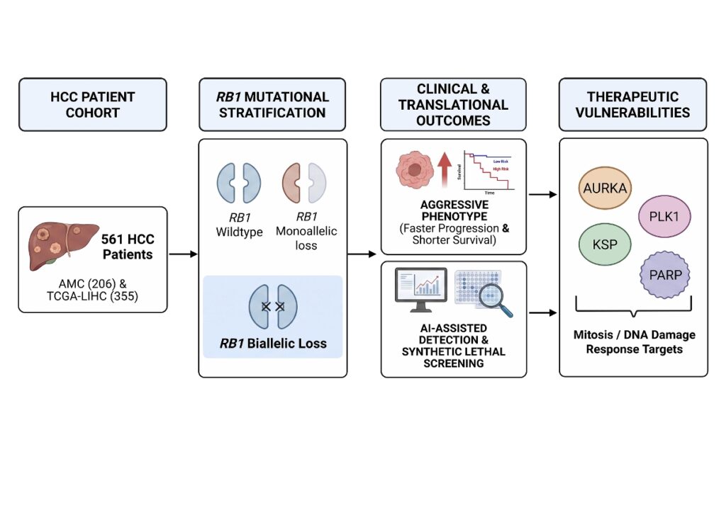 AI Tool Spots Aggressive Liver Cancer, Guides New Treatment