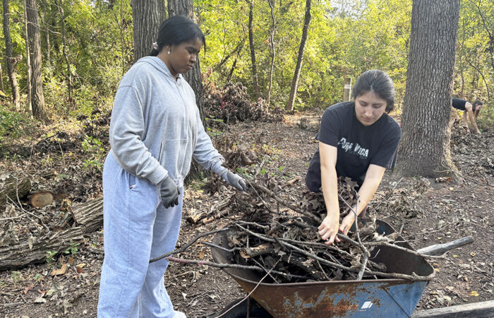 Volunteers Restore Olympia Fields Park After Tornado - Image 4
