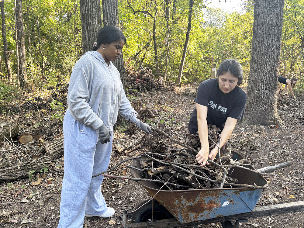 Volunteers Restore Olympia Fields Park After Tornado