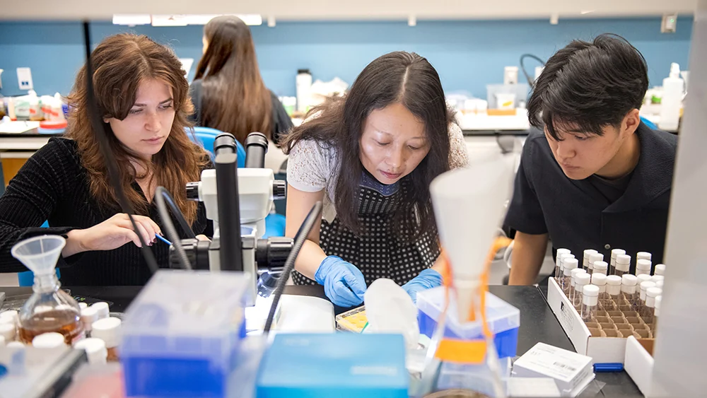 Diverse group of college students working together in modern scientific research laboratory