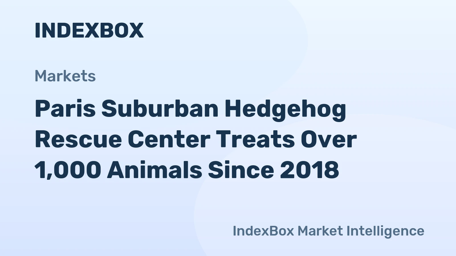 Paris Rescue Saves 1,000+ Hedgehogs Since 2018