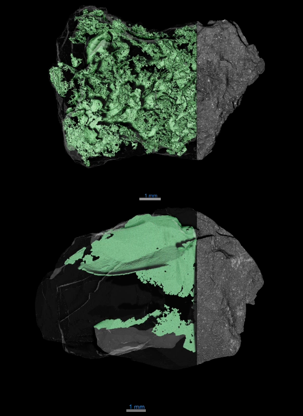 NASA Cracks Asteroid Mystery With Porous Boulder Discovery