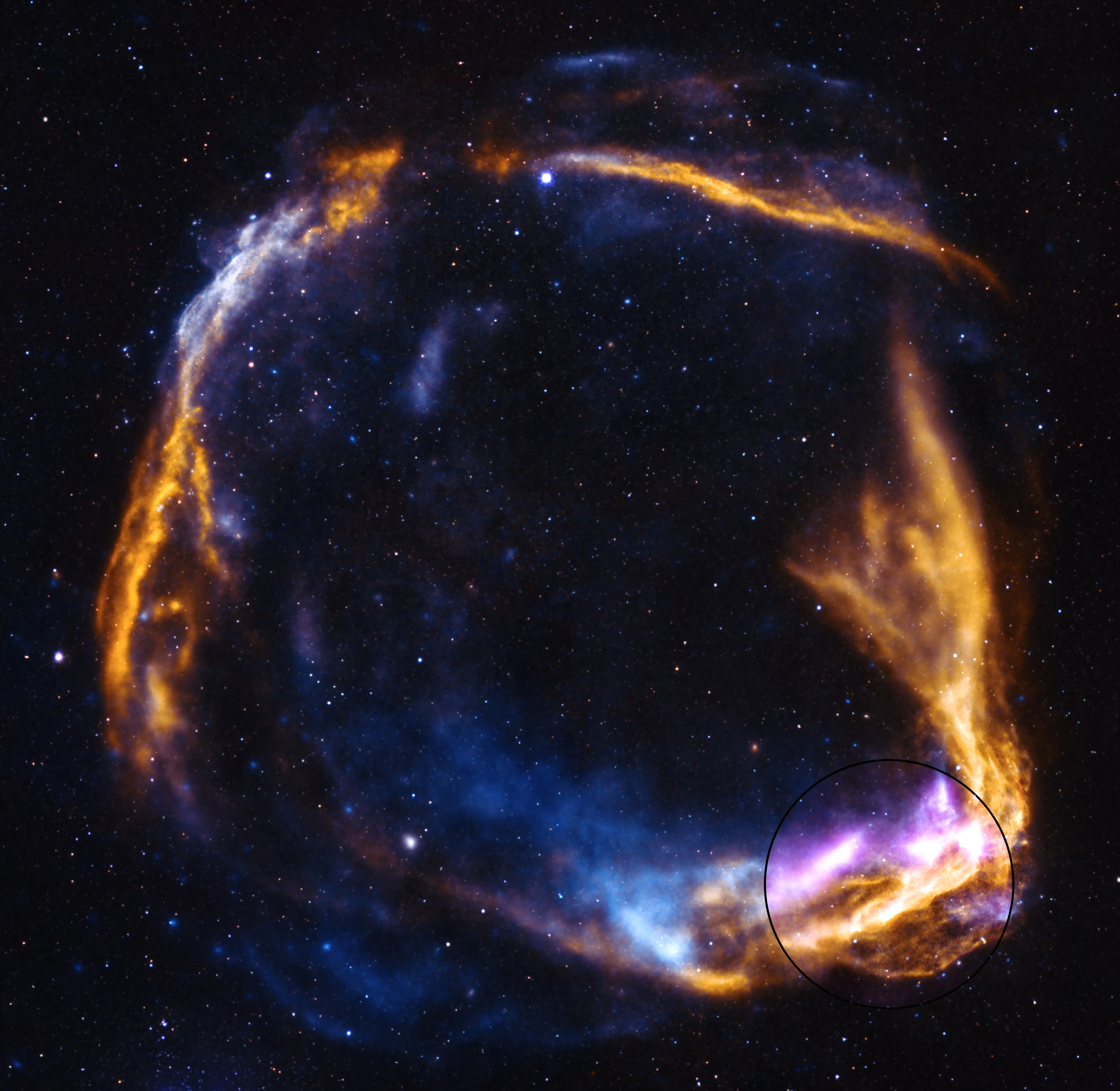 Colorful space image showing ancient supernova remnant with purple shock wave and blue and yellow X-rays