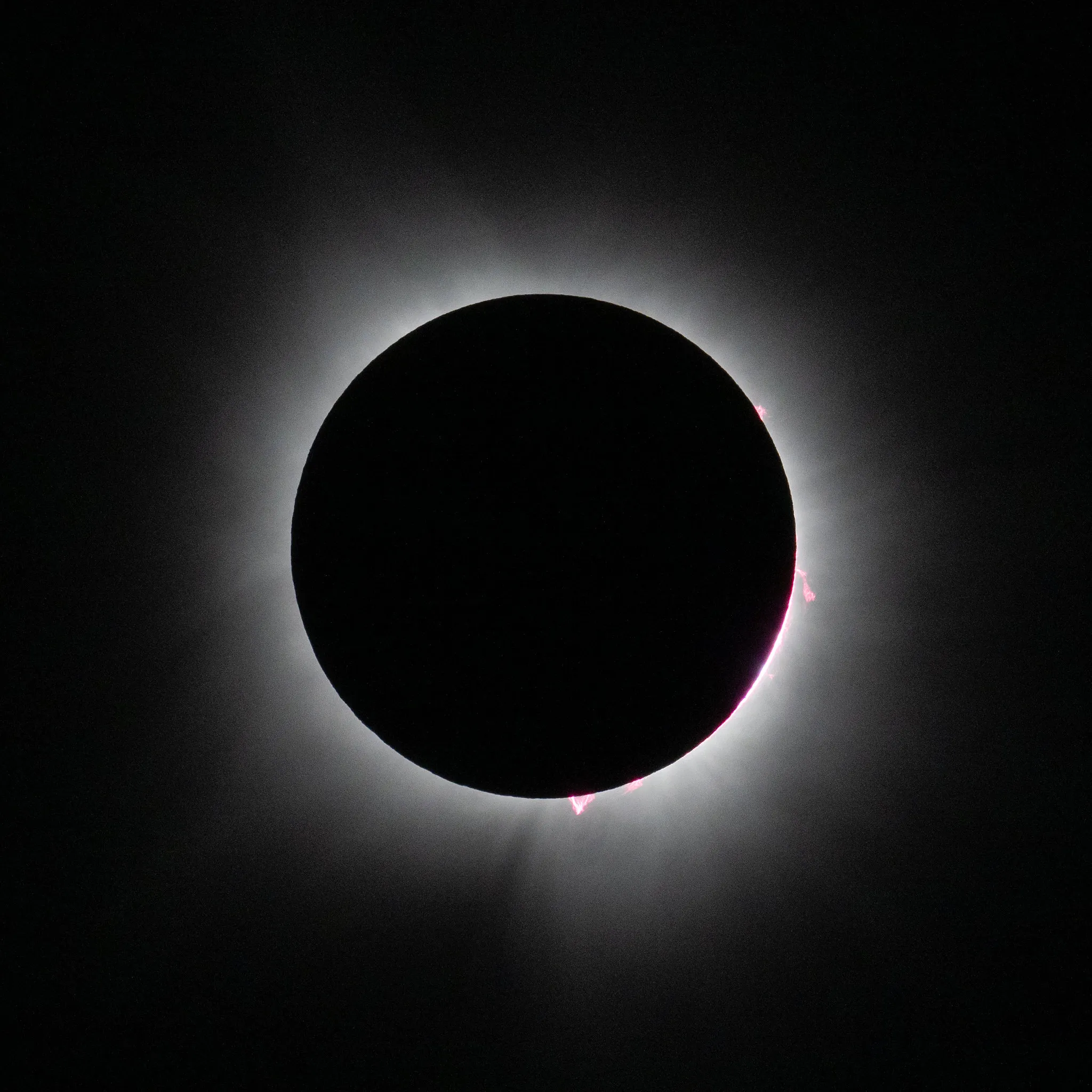 Total solar eclipse showing the Sun's corona glowing around the dark Moon over Dallas, Texas