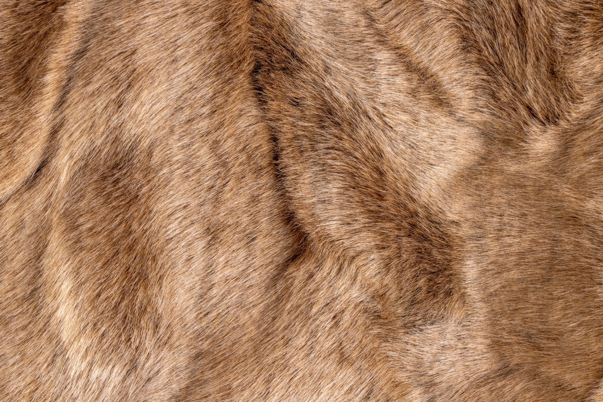 58-Day Protest Convinces Etsy to Ban Fur Sales in 2026