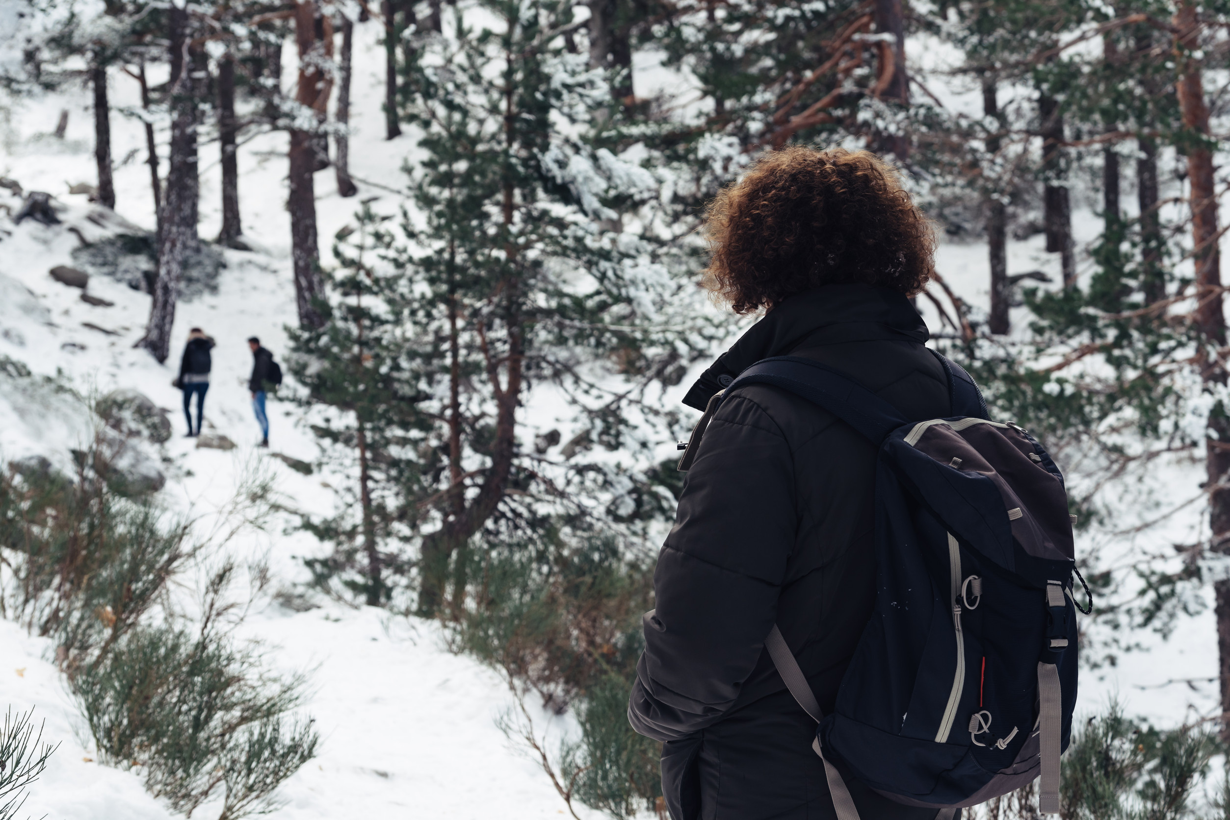 Hiker with backpack walking on snowy winter trail surrounded by snow-covered evergreen trees
