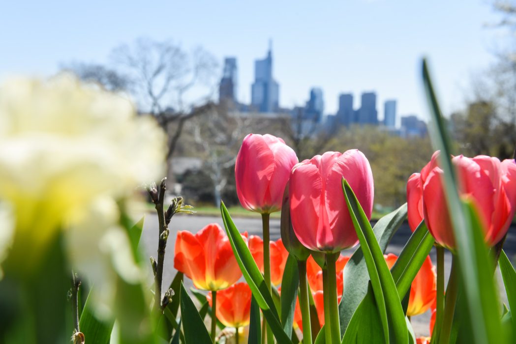 Philadelphia VISTA Corps: 16 Years, 370 Volunteers, $25M Impact