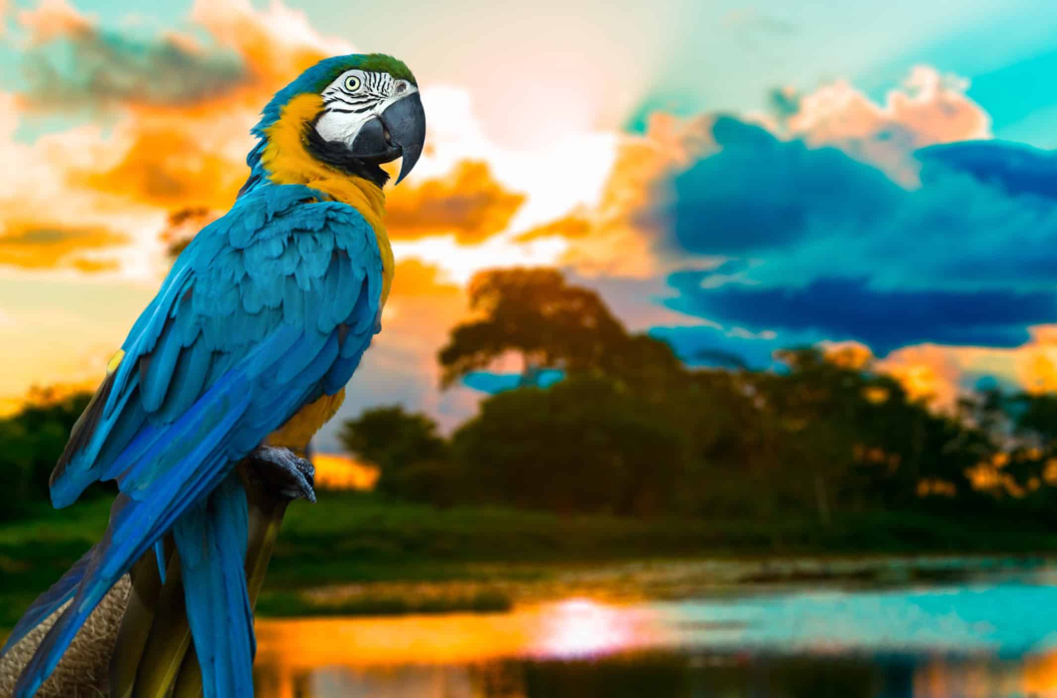 London to the Amazon: 4 Big Wins for Our World