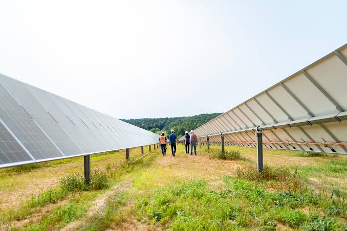 Meta and Apex Team Up for 144MW Texas Solar Farm