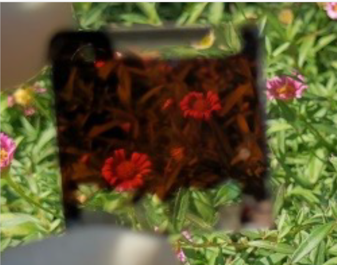 Transparent flexible solar panel bending on surface showing see-through capabilities with colored tint