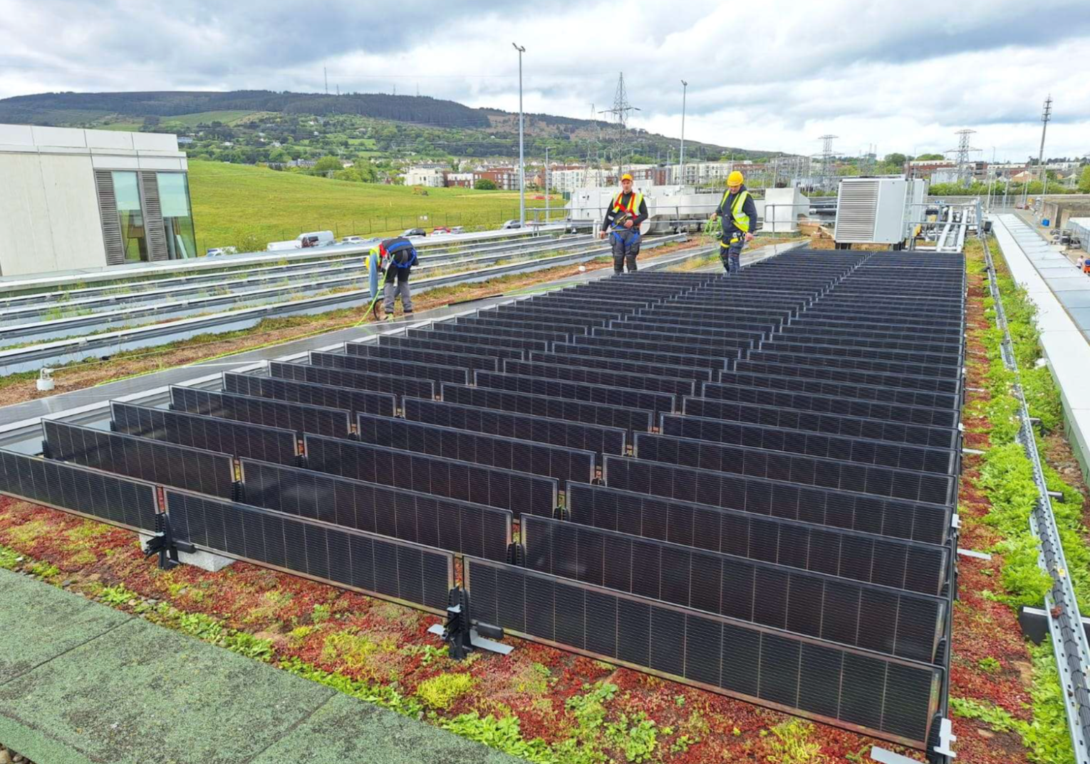 Dublin Green Roof Gets Solar Panels That Help Plants Grow