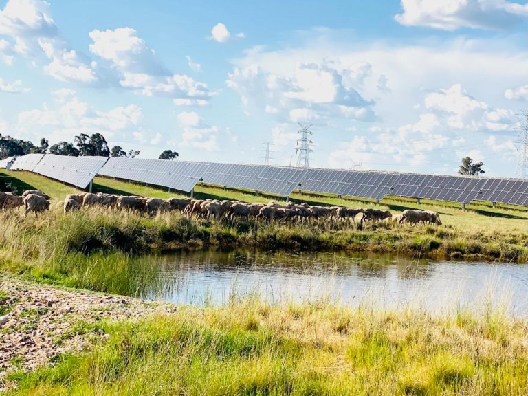 Australia's Solar Farms Hit Record Highs in September